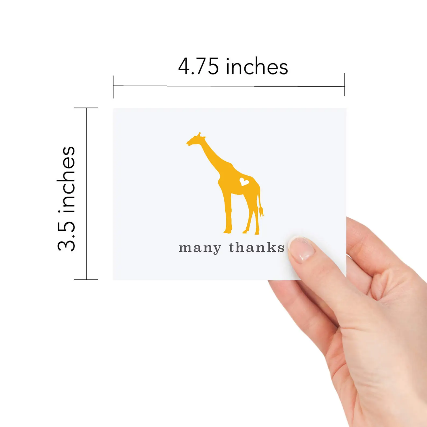Cute Animal Card Set | Illustrated Greeting Card Set