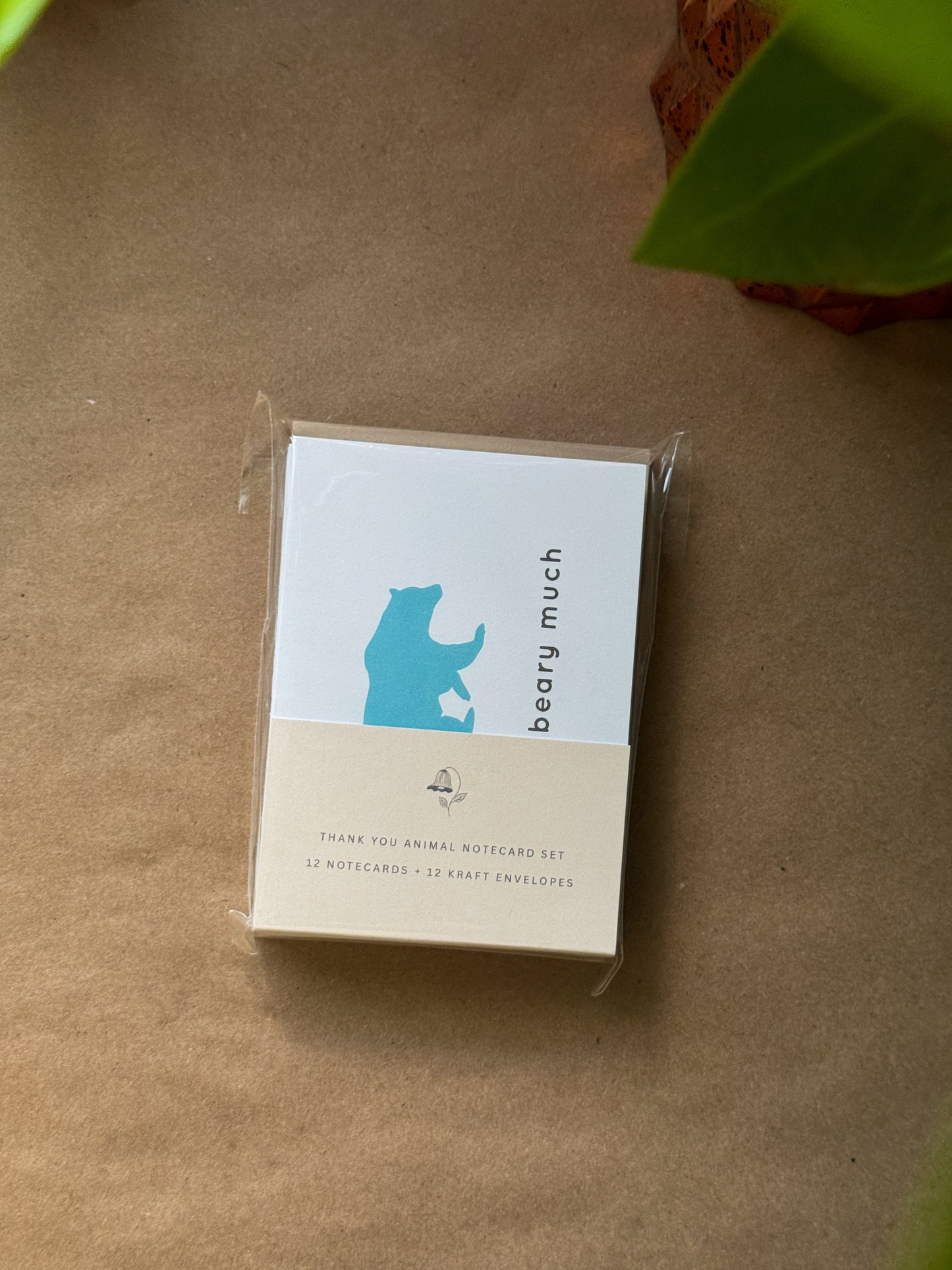Cute Animal Card Set | Illustrated Greeting Card Set