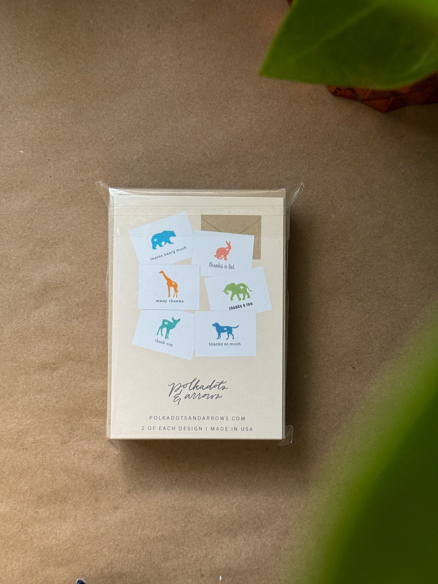Cute Animal Card Set | Illustrated Greeting Card Set