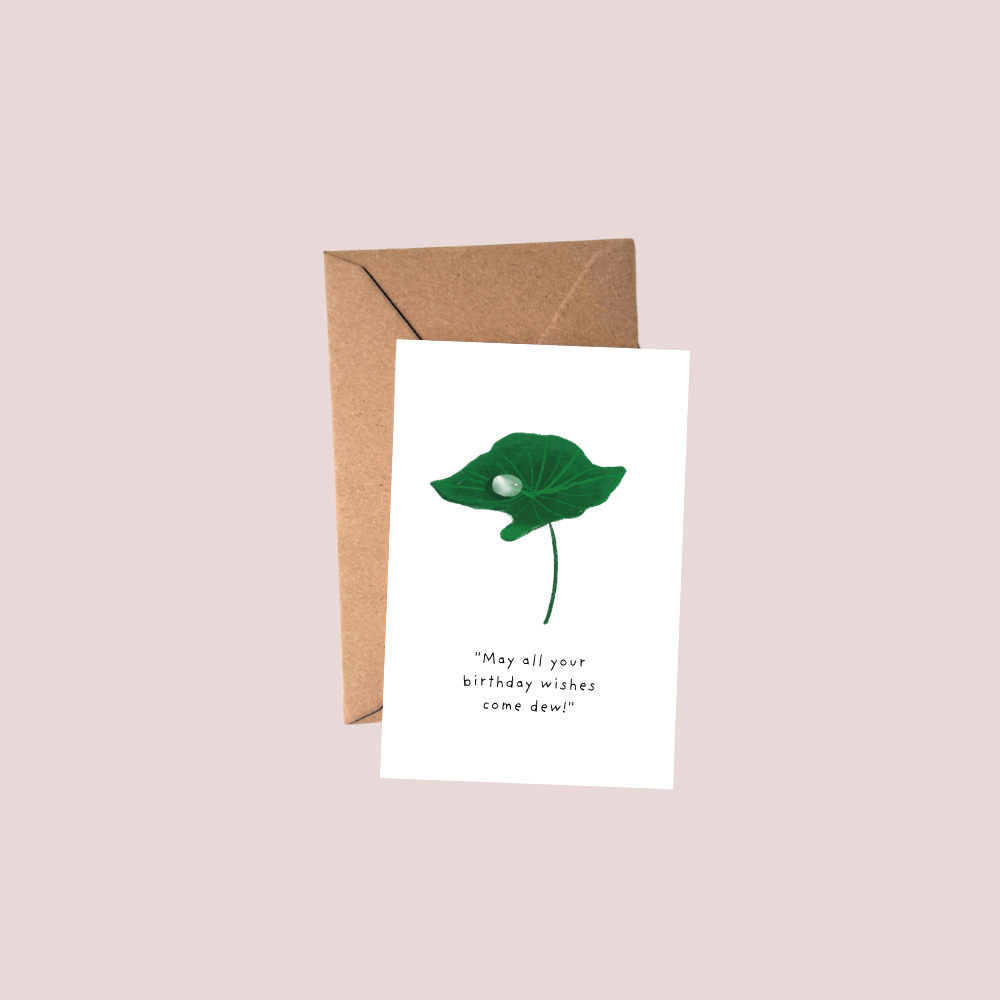 Taro leaf with dew birthday